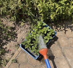 🌱 Essential Plant Watering
