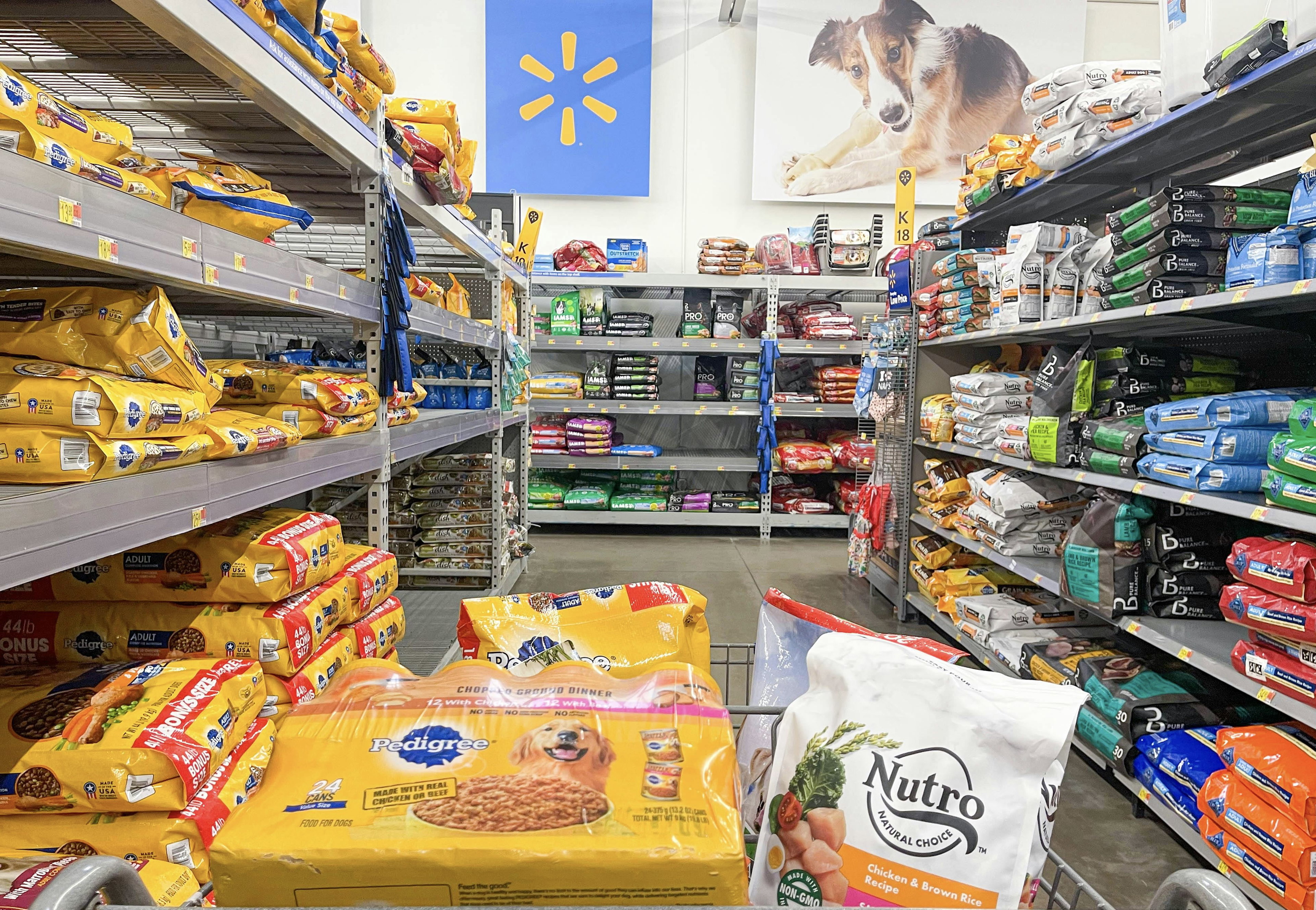 🛒 Restocking Pet Supply