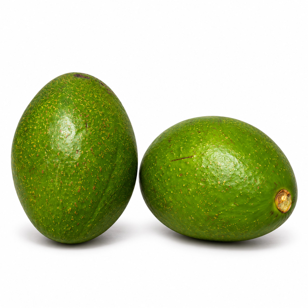أفوكادو – أوغندا (حبتان) / Avocados – Uganda (2 pcs)