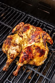 AVO Fully Yummy Chicken