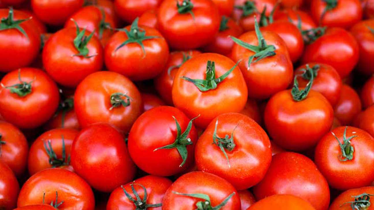 Tomato_0