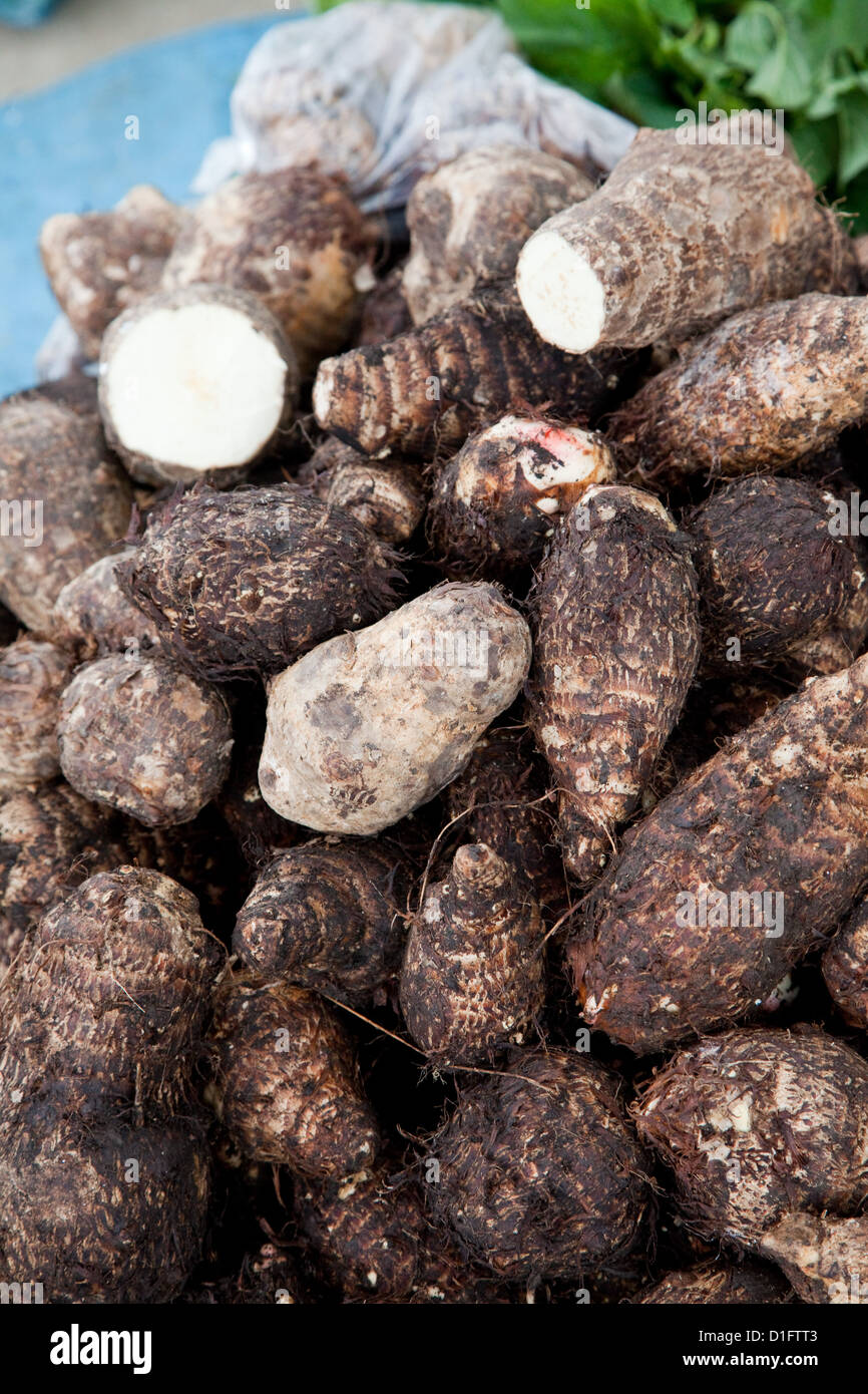 Yam (ଖମ୍ବ ଆଳୁ)