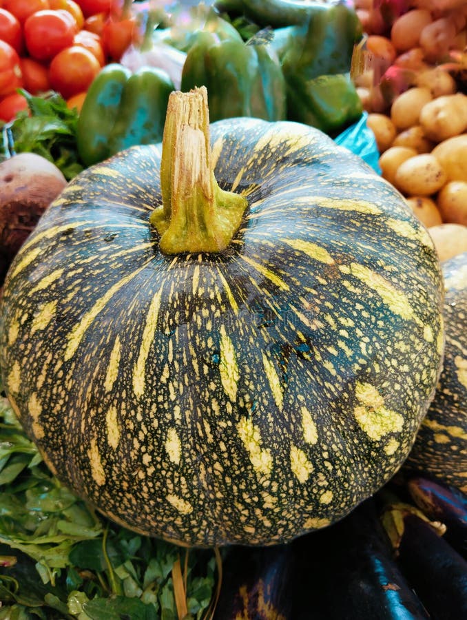 Pumpkin_0