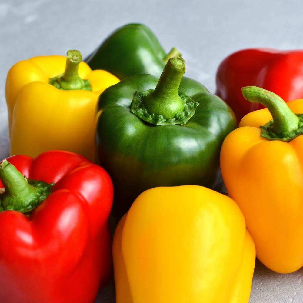 Capsicum_0