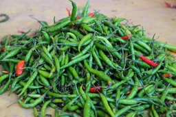 Green chilli