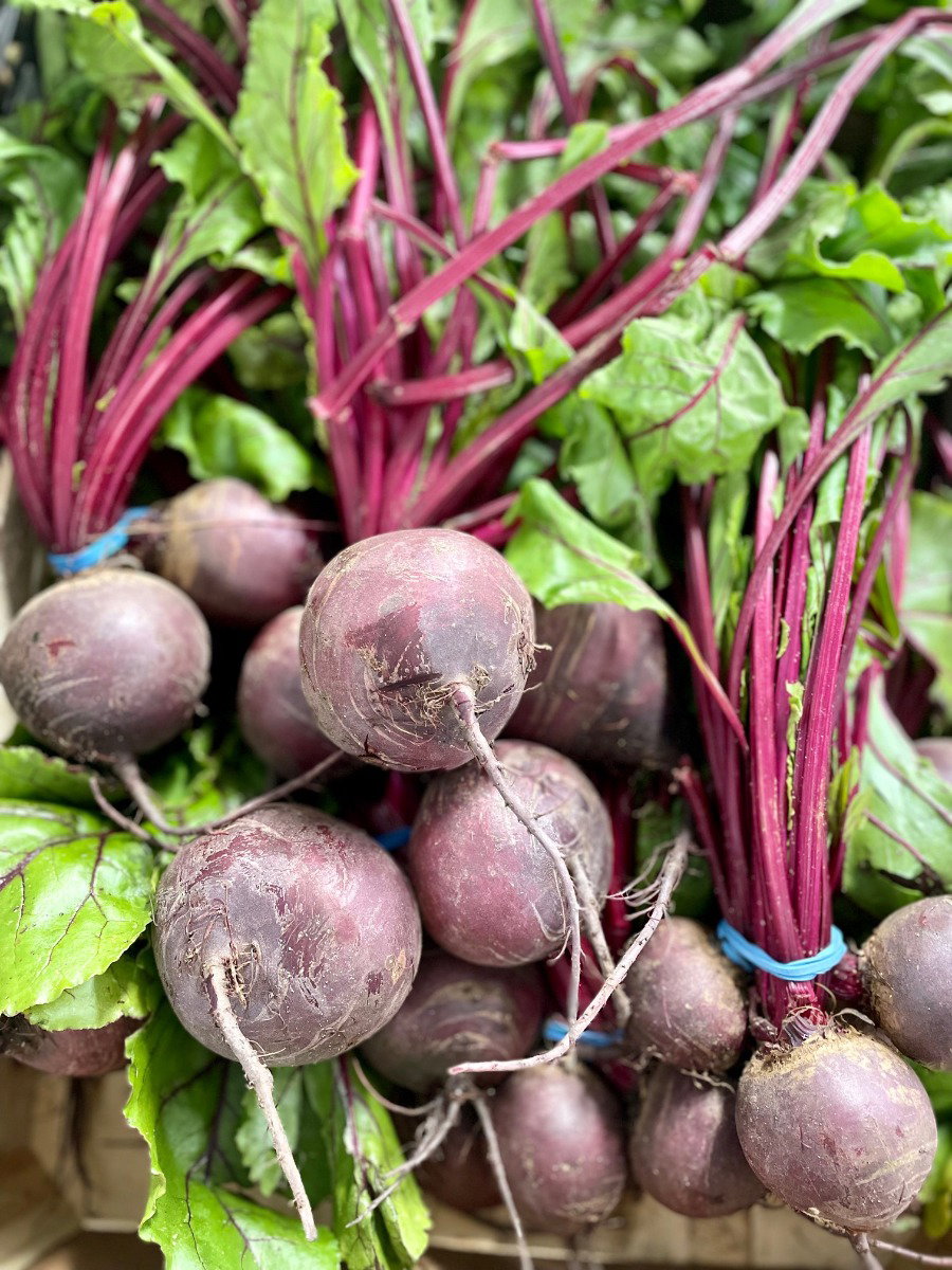 Beetroot_0