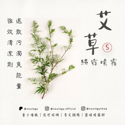 艾草純露噴霧｜強效清潔劑
