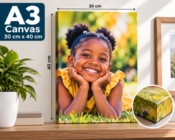 A3 Canvas Picture 