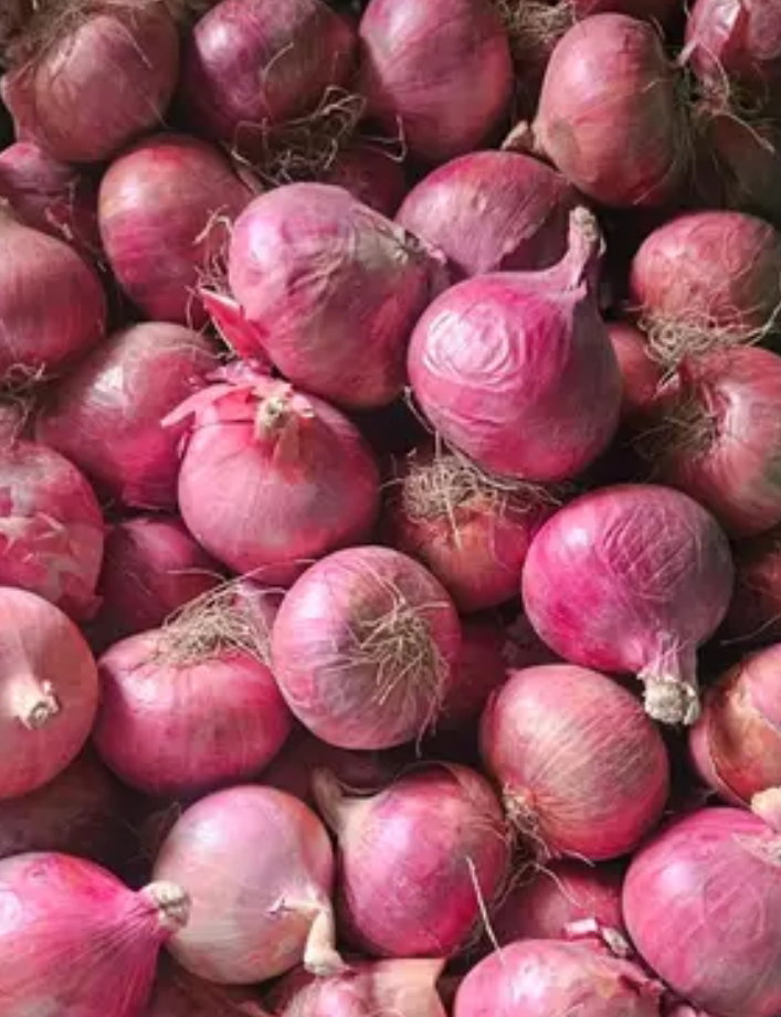 Onion