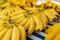 Banana 12 pcs