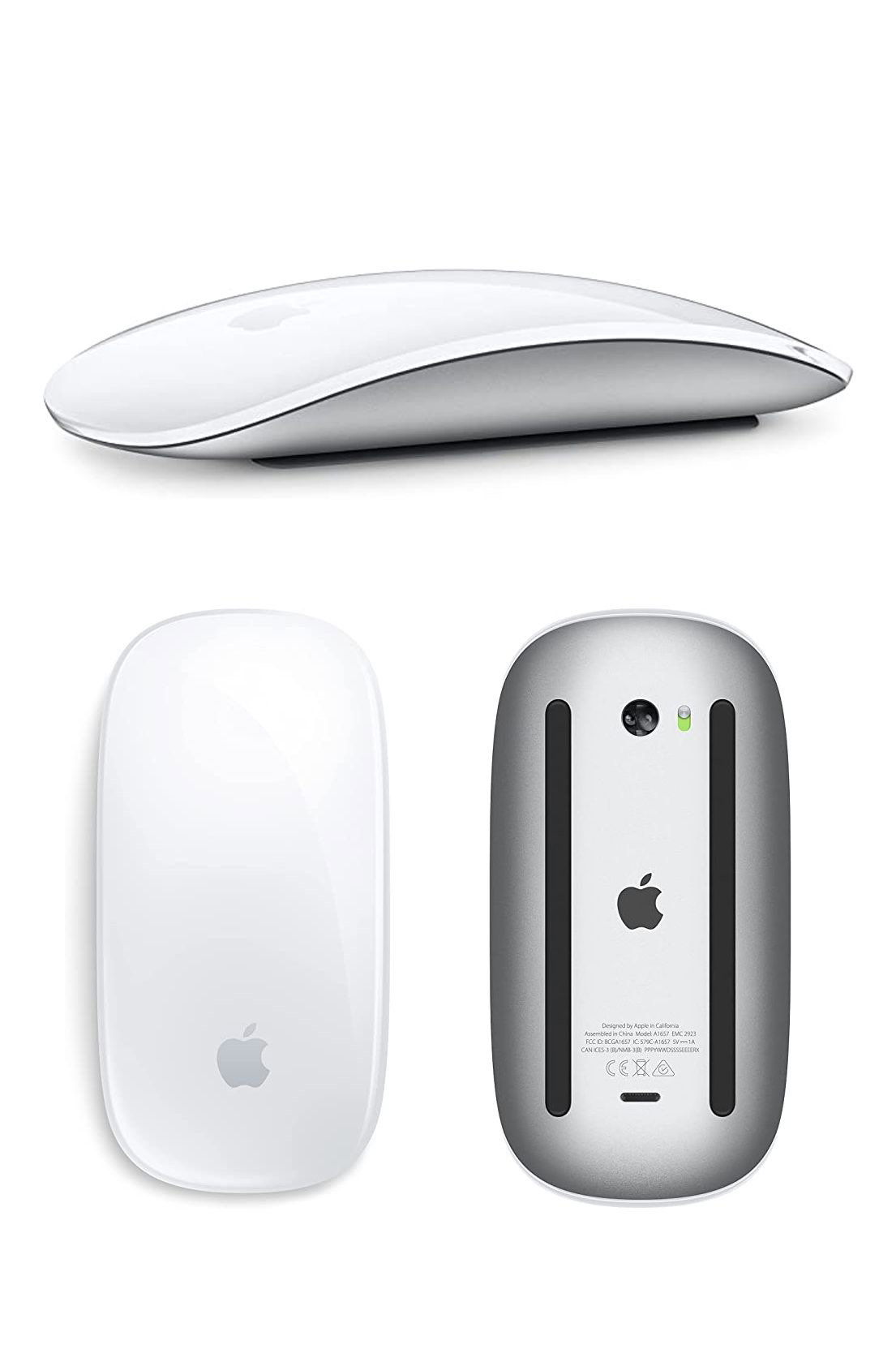 Magic Mouse_1