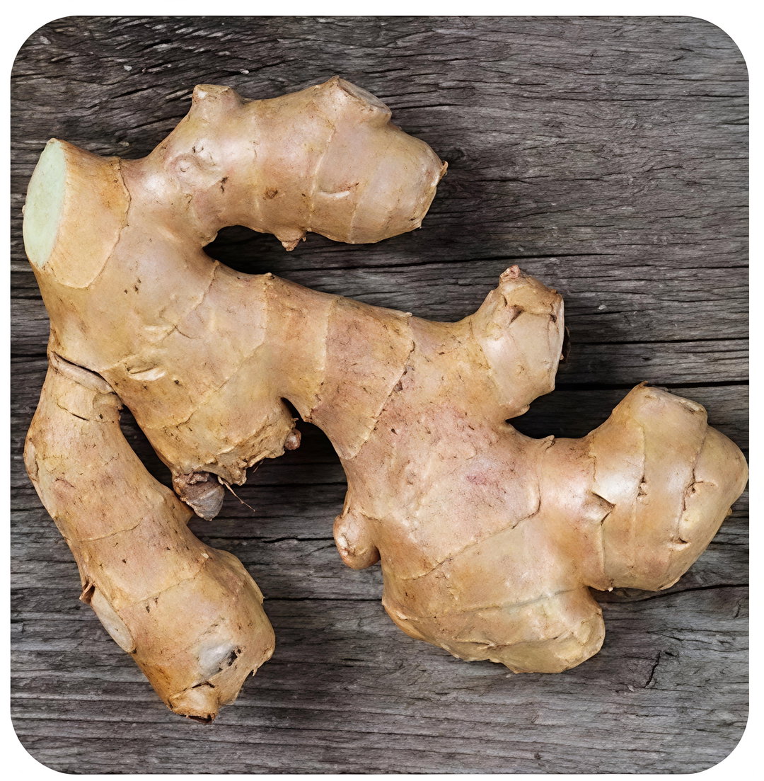 Ginger 