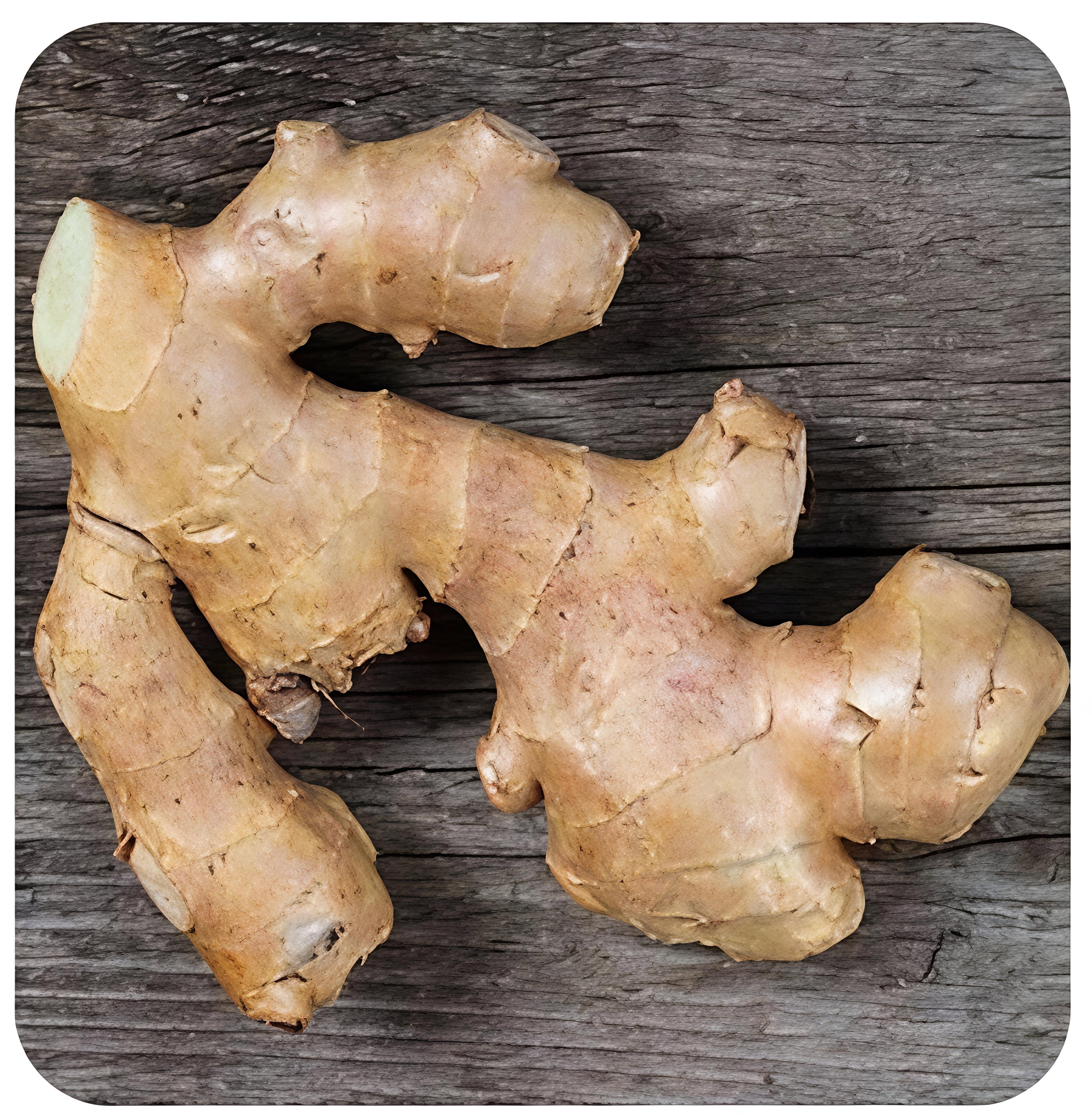 Ginger 