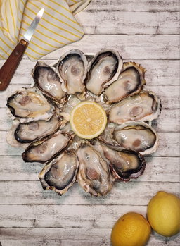 OYSTERS