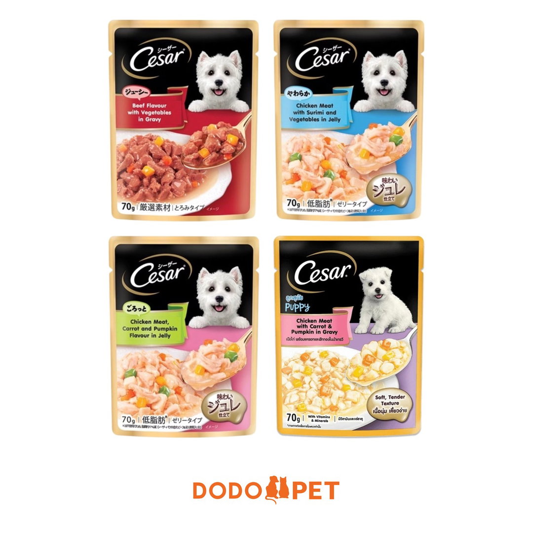 Cesar Wet Dog Food Pouch 70g – Gravy & Jelly Range (4 Flavours)