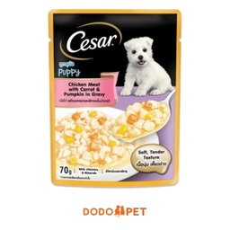 Cesar Wet Dog Food Pouch 70g – Gravy & Jelly Range (4 Flavours)