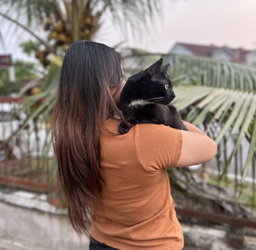 🏡 Monthly Cat Care Subscription