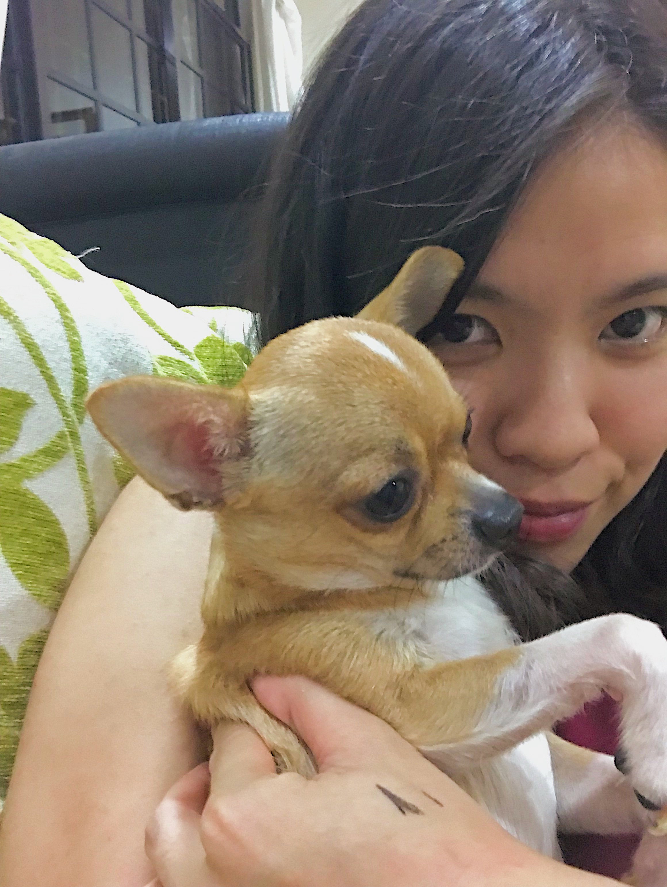 🐶 Dog Sitting _3