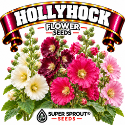 🌸HOLLYHOCK/STOKROOS🌸 x 25+ seeds