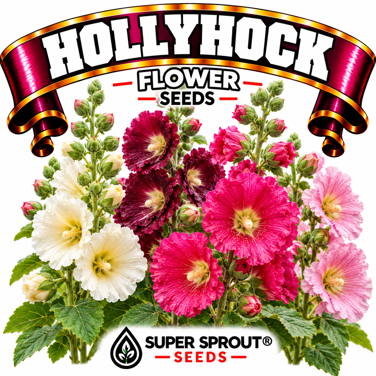 🌸HOLLYHOCK/STOKROOS🌸 x 25+ seeds