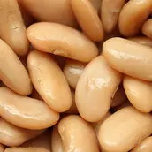 Plain Beans