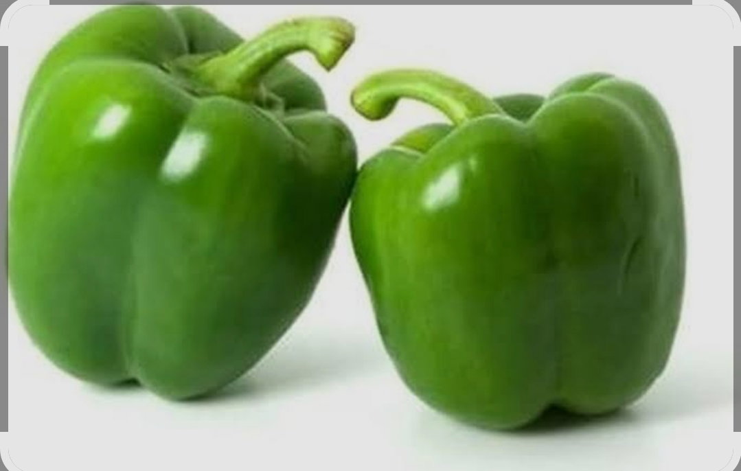 Green capcicum 
