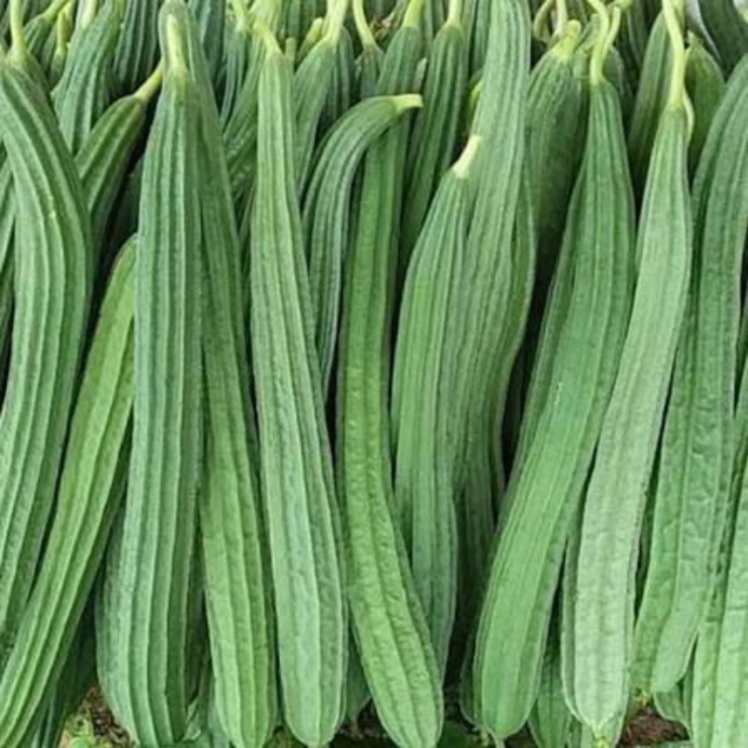 Ridge Gourd (பீர்க்கங்காய்)