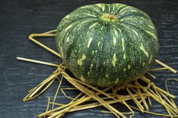 Yellow Pumpkin (பூசணி)