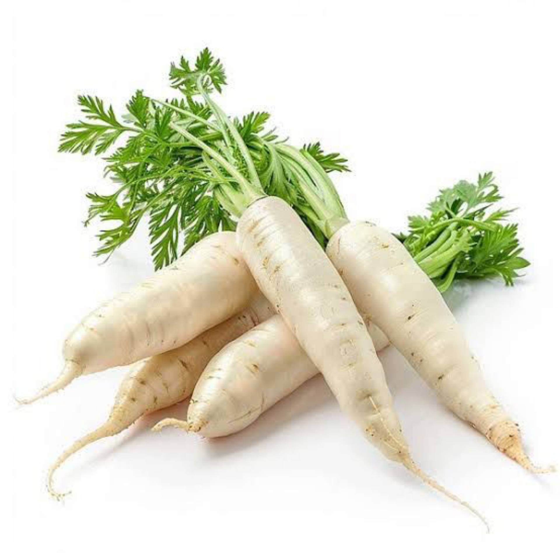 Radish (White) (முள்ளங்கி)_0