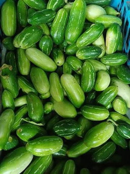 Ivy Gourd (கோவைக்காய்)