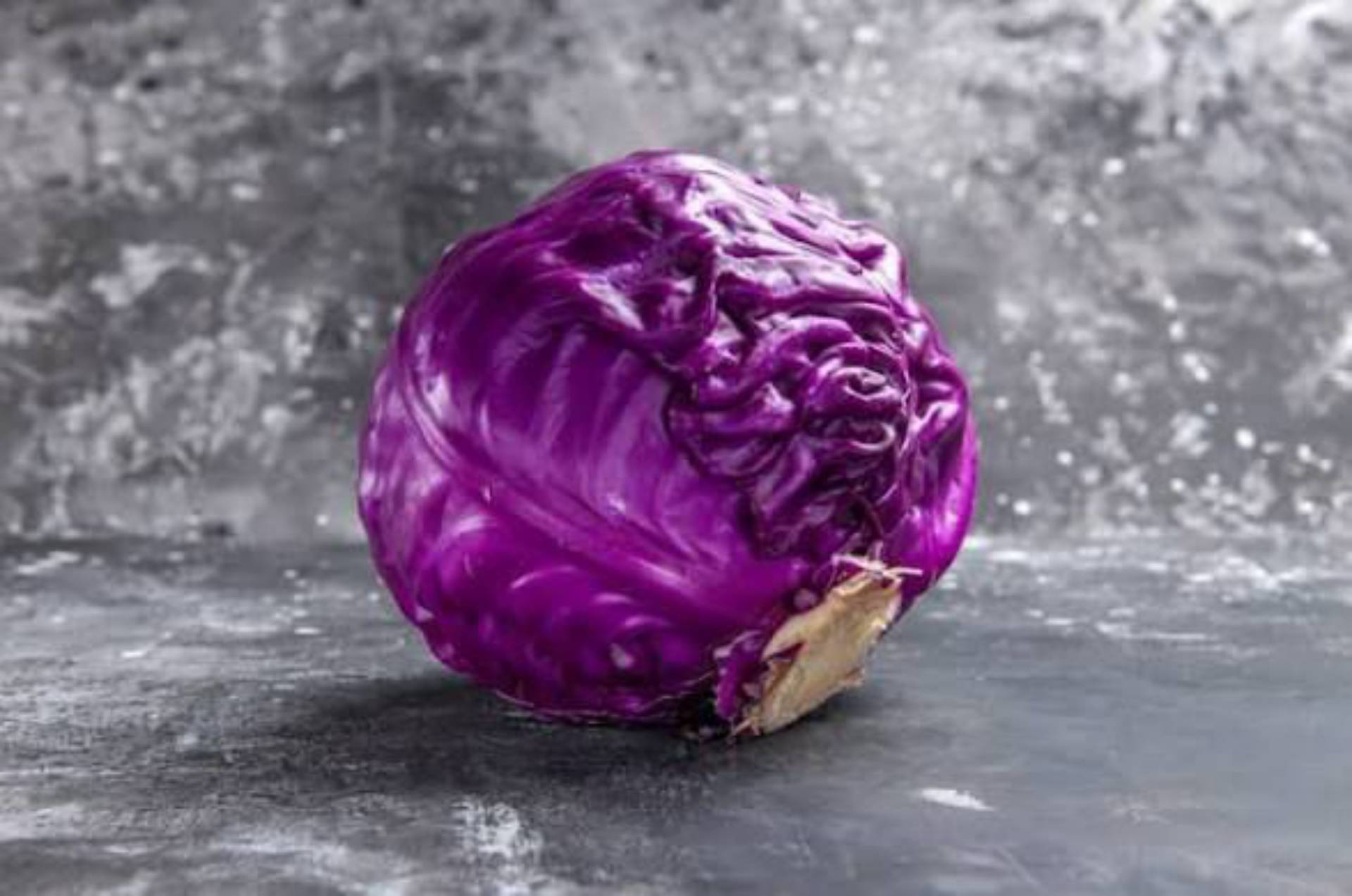 Purple cabbage_0