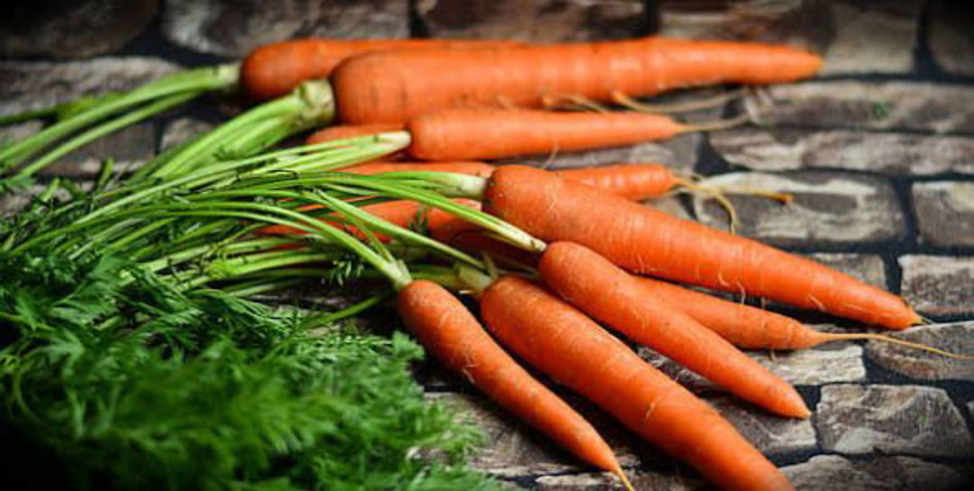 Carrot (கேரட்)