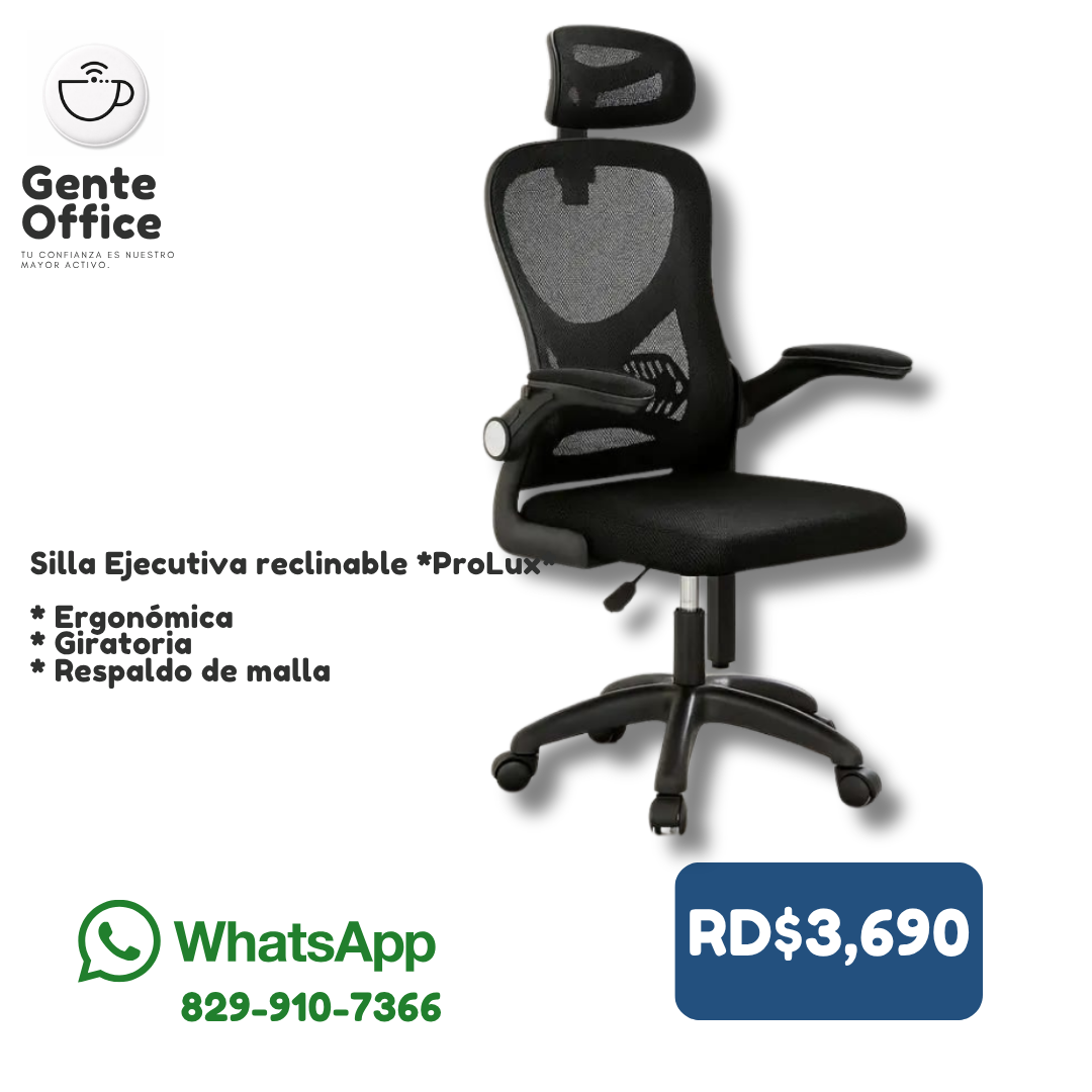 Silla Ejecutiva reclinable