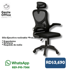 Silla Ejecutiva reclinable