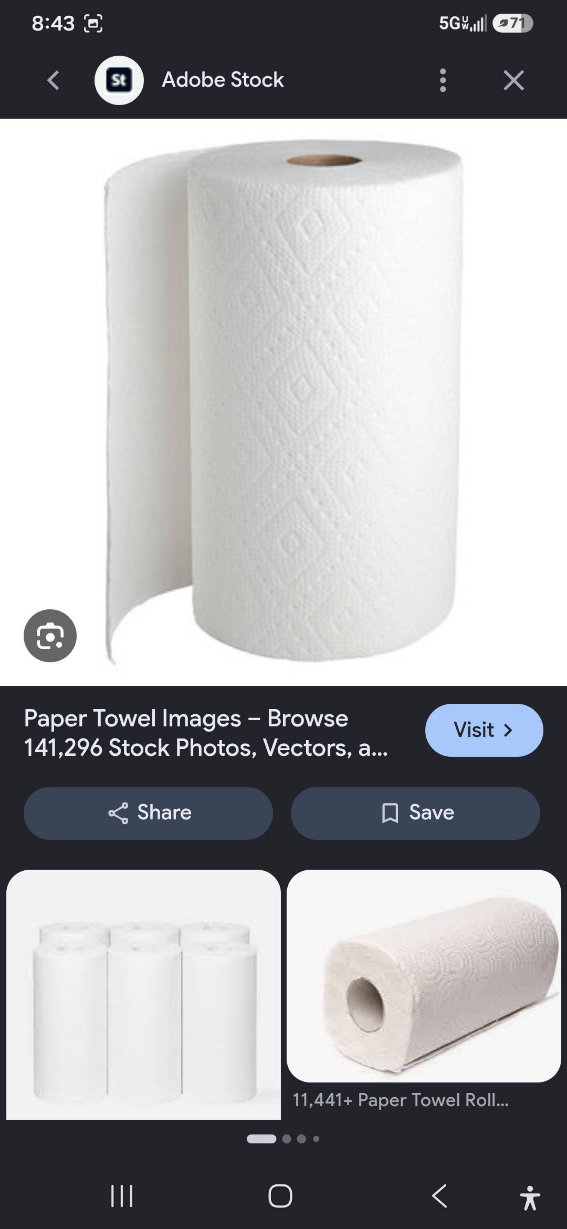 Paper Towels_0