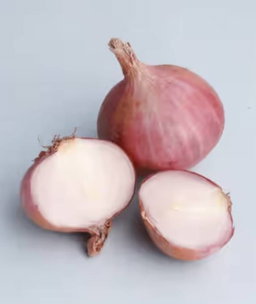 Onion/வெங்காயம்