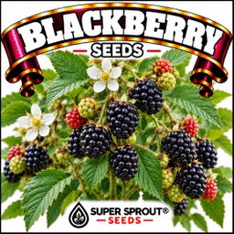 Berry seed combo pack x 8 packs 10-15 seeds per pack 
