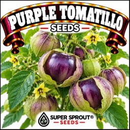 Berry seed combo pack x 8 packs 10-15 seeds per pack 