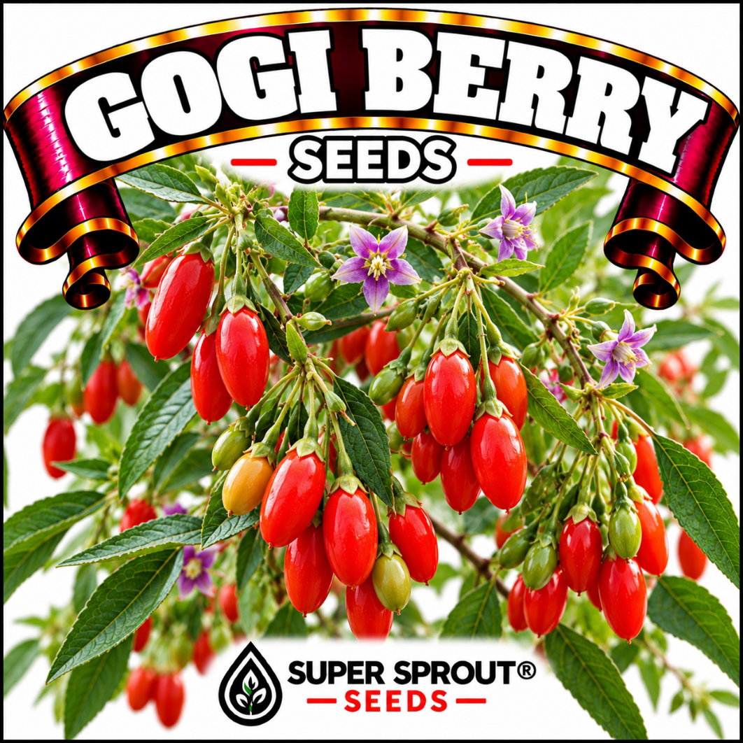 Berry seed combo pack x 8 packs 10-15 seeds per pack _4
