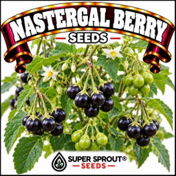 Berry seed combo pack x 8 packs 10-15 seeds per pack 