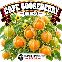 Berry seed combo pack x 8 packs 10-15 seeds per pack 