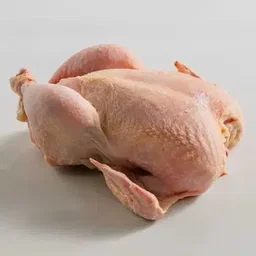 Fresh Kampong chicken, rural chicken 1.2kg