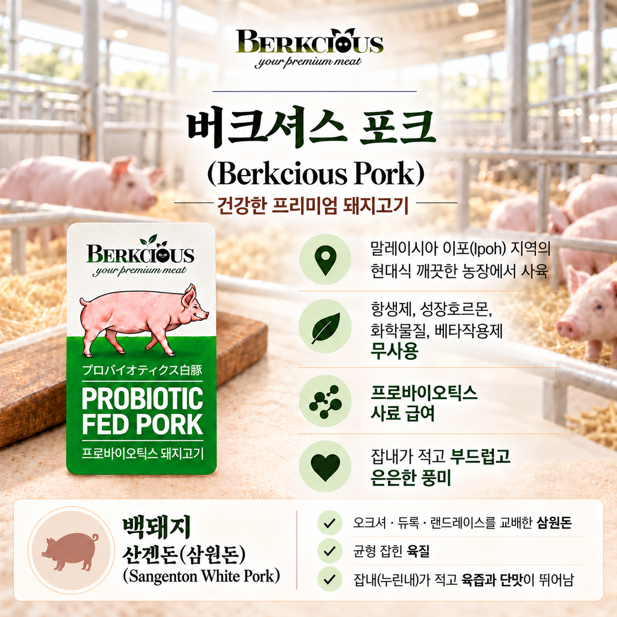 13.프로바이오틱스 삼겹살 _1