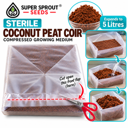 Berry seed combo pack x 8 packs 10-15 seeds per pack 