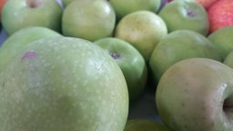 Green Apple Kg