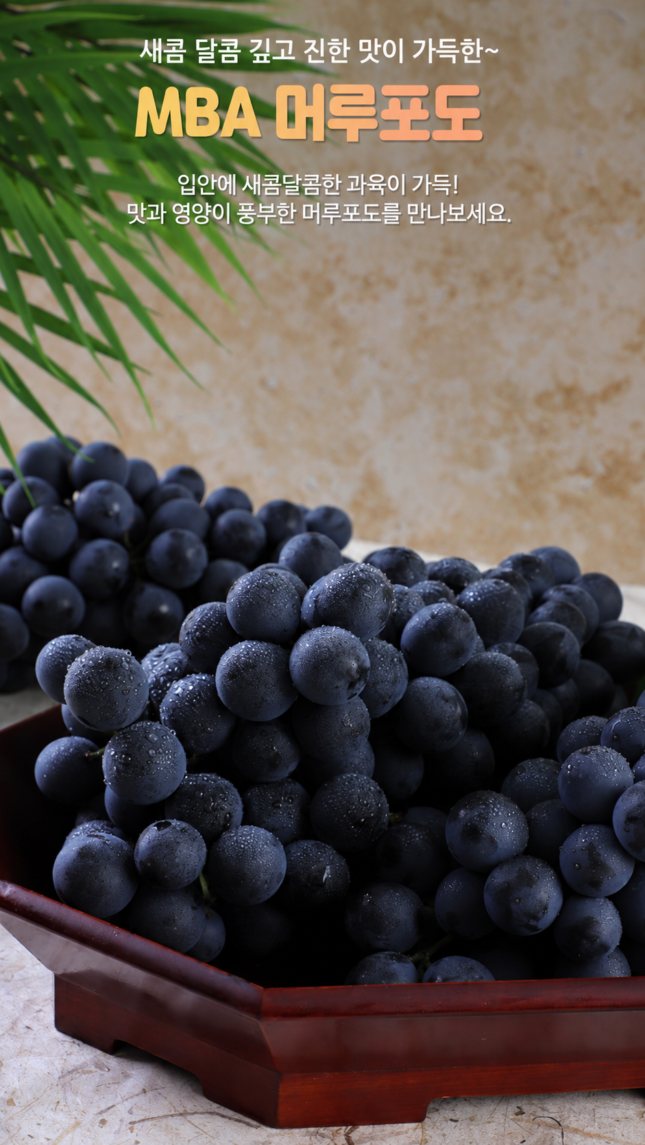 Premium Korean Sweet Black Grapes 머루포도 韓国産甘い黒ぶどう_1