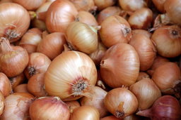 Oignons