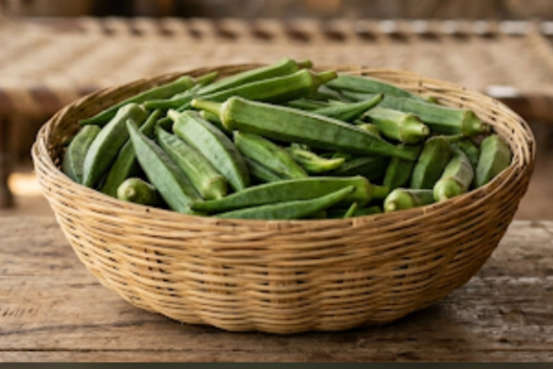 Okra