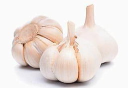 Garlic பூண்டு
