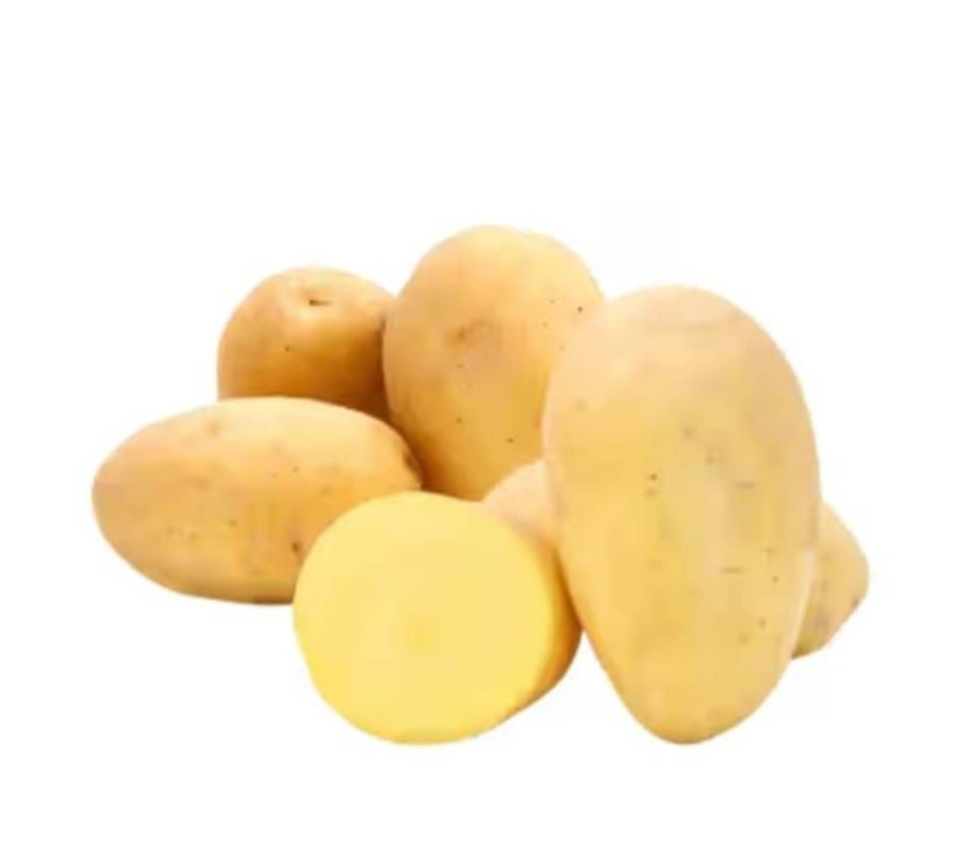 Potato உருளைக்கிழங்கு